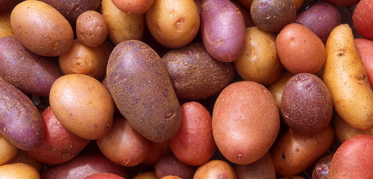 Kalorien von Kartoffeln